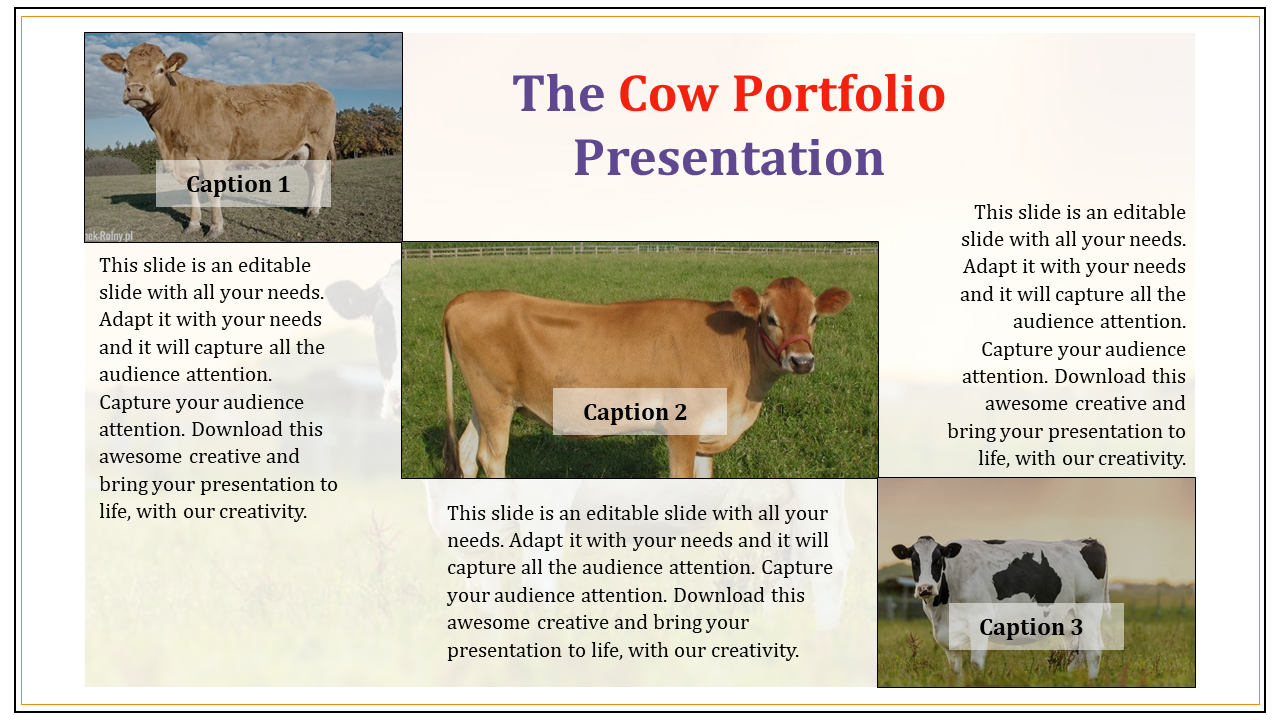 portfolio presentation template-The Cow portfolio presentation